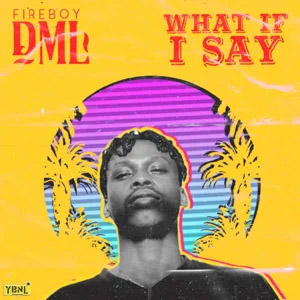 Álbum What If I Say de Fireboy DML