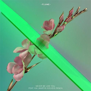 Álbum Never Be Like You  [Martin Solveig Remix] de Flume