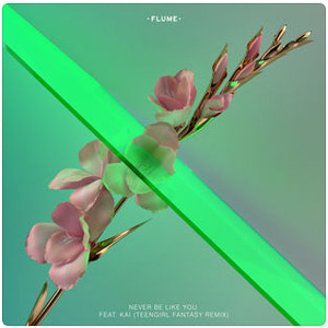 Álbum Never Be Like You  [Teengirl Fantasy Remix]  de Flume