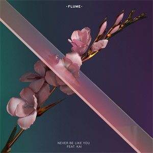 Álbum Never Be Like You de Flume