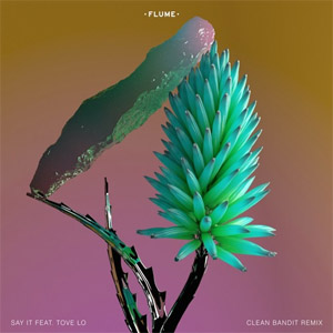 Álbum Say It  [Clean Bandit Remix] de Flume