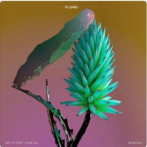 Álbum Say It (Remixes) de Flume