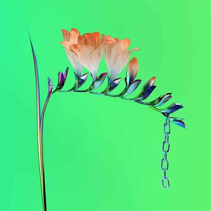 Álbum Skin Companion EP I de Flume