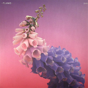 Álbum Skin de Flume