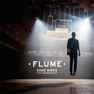 Álbum Some Minds de Flume