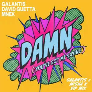 Álbum Damn (You’ve Got Me Saying) de Galantis