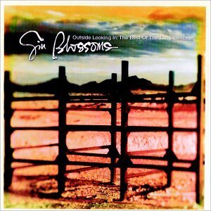 Álbum Outside Looking In: The Best Of Gin Blossoms de Gin Blossoms