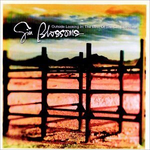 Álbum Outside Looking In: The Best Of Gin Blossoms de Gin Blossoms