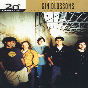 Álbum The DVD Collection  de Gin Blossoms