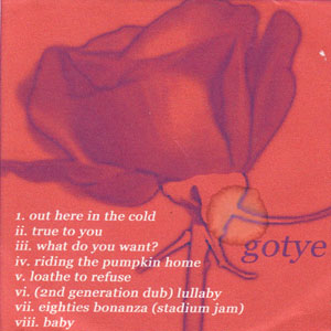 Álbum Gotye de Gotye