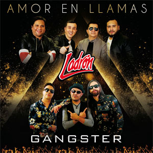 Álbum Amor En Llamas de Grupo Ladrón