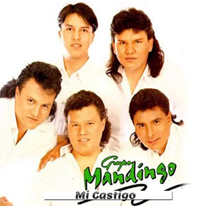 Álbum Mi Castigo de Grupo Ladrón