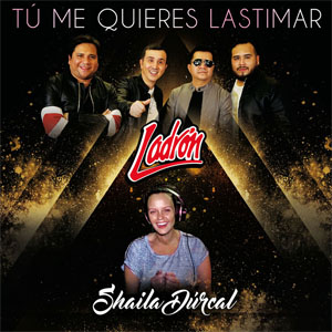 Álbum Tú Me Quieres Lastimar de Grupo Ladrón