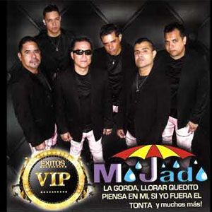 Álbum Éxitos VIP de Grupo Mojado