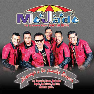 Álbum Homenaje a los Grandes Grupos de Grupo Mojado