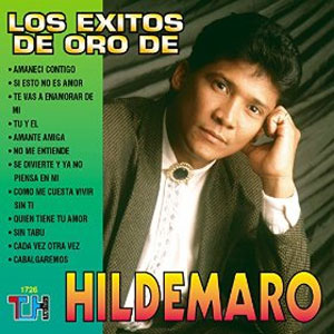 Álbum Los Éxitos De Oro De Hildemaro de Hildemaro