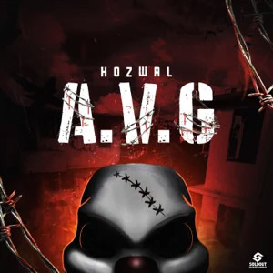 Álbum A.V.G de Hozwal