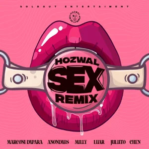 Álbum Sex (Remix) de Hozwal