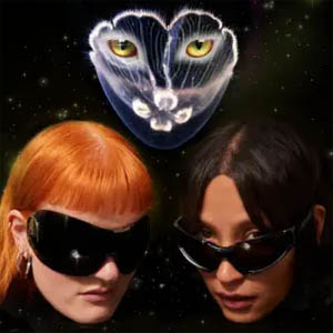 Álbum I Want You de Icona Pop