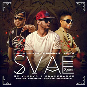 Álbum Svae (Remix) de Indiomar