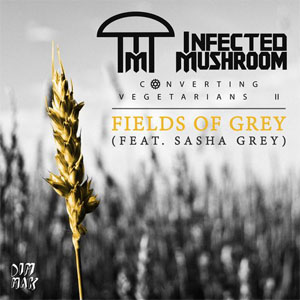 Álbum Fields Of Grey de Infected Mushroom