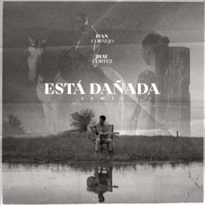 Álbum Está Dañada (Remix) de Iván Cornejo