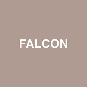 Álbum Falcon de Jaden Smith
