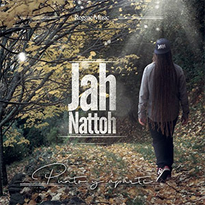 Álbum Punto y Aparte de Jah Nattoh