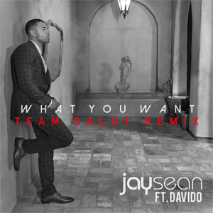 Álbum What You Want (Team Salut Remix) de Jay Sean