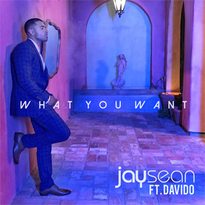 Álbum What You Want de Jay Sean