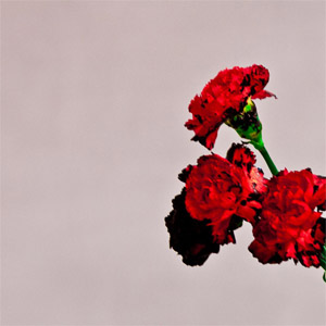 Álbum Love In The Future de John Legend