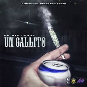 Álbum En Mis Dedos Un Gallito de Junior H