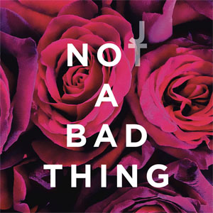 Álbum Not A Bad Thing de Justin Timberlake