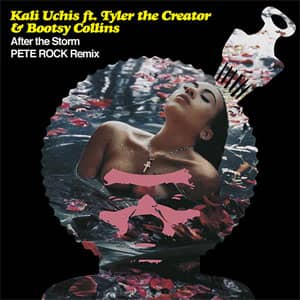 Álbum After The Storm (Pete Rock Remix) de Kali Uchis