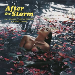 Álbum After The Storm de Kali Uchis