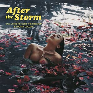 Álbum After The Storm de Kali Uchis