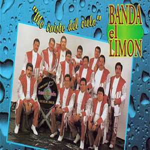 Álbum Me Caíste Del Cielo de La Arrolladora Banda el Limón