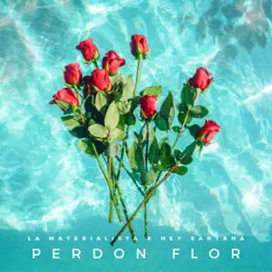 Álbum Perdón Flor de La Materialista