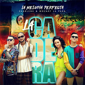 Álbum La Cadera de La Melodía Perfecta