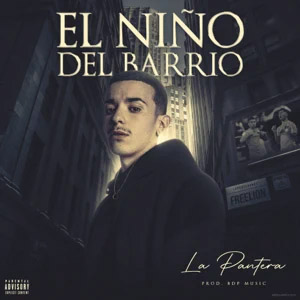 Álbum El Niño Del Barrio de La Pantera