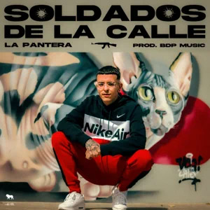 Álbum Soldados De La Calle de La Pantera