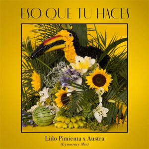 Álbum Eso Que Tú Haces (Austra's Gynocracy Mix) de Lido Pimienta