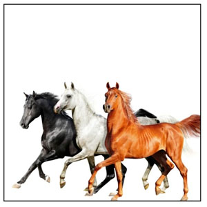 Álbum Old Town Road (Diplo Remix) de Lil Nas X