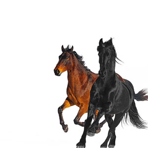 Álbum Old Town Road [Remix] de Lil Nas X