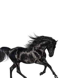 Álbum Old Town Road de Lil Nas X