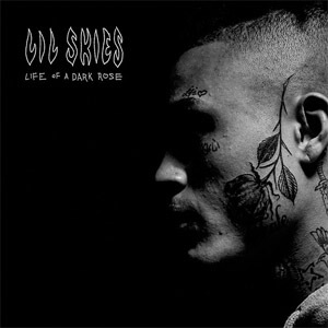 Álbum Welcome To The Rodeo de Lil Skies