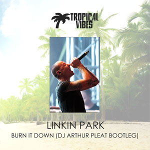 Álbum Burn It Down (DJ Arthur Pleat Bootleg) de Linkin Park