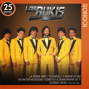 Álbum Íconos 25 Éxitos de Los Bukis