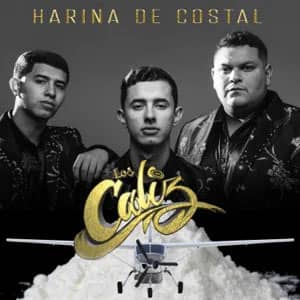 Álbum Harina De Costal de Los Caliz