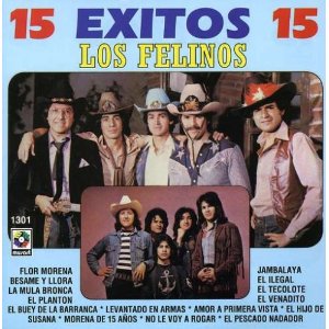 Álbum 15 Éxitos 15 de Los Felinos